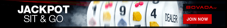 Bovada Banner for PaiWangLuo Network Page